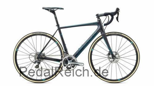 Fuji SL 1.3 Disc  technische daten 